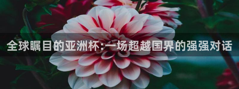 美国世界杯：全球瞩目的亚洲杯:一场超越国界的强强对话
