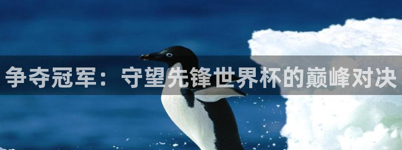 2026世界杯预选赛：争夺冠军：守望先锋世界杯的巅峰对决