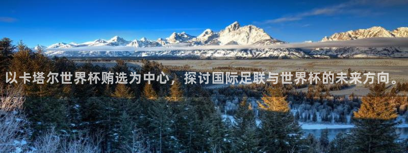 世界杯预选赛赛程：以卡塔尔世界杯贿选为中心，探讨国际足联与世界杯的未来方向。
