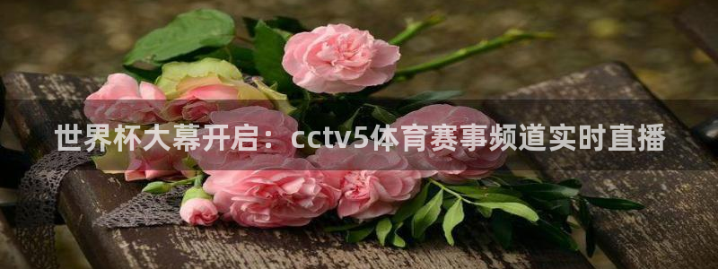 世界杯足球2026：世界杯大幕开启：cctv5体育赛事频道实时直播