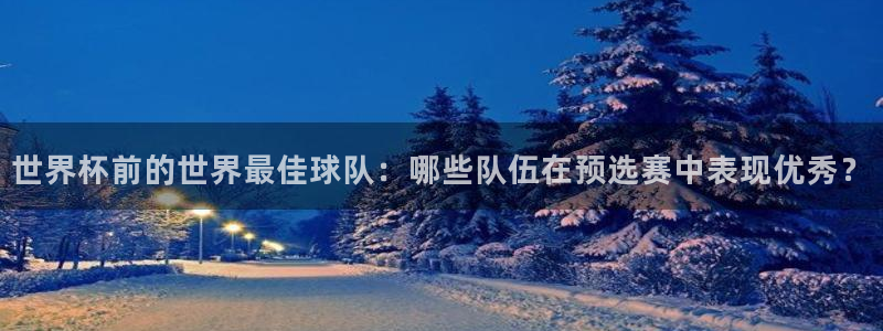 2026世界杯32强对阵图表：世界杯前的世界最佳球队：哪些队伍在预选赛中表现优秀？