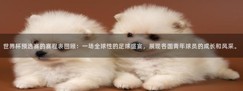 世界杯球队：世界杯预选赛的赛程表回顾：一场全球性的足球盛宴，展现各国青年球员的成长和风采。