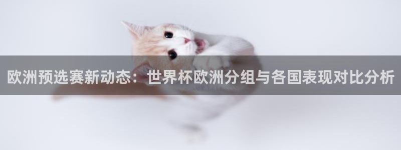 2026世界杯亚洲预选赛赛程：欧洲预选赛新动态：世界杯欧洲分组与各国表现对比分析
