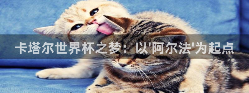 世界杯预选赛欧洲赛区赛程：卡塔尔世界杯之梦：以\'阿尔法\'为起点