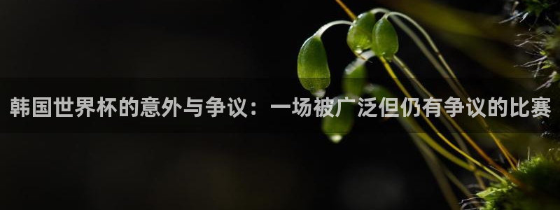 2026世界杯直播：韩国世界杯的意外与争议：一场被广泛但仍有争议的比赛