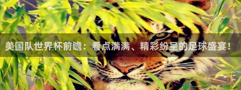 2026世预赛全部赛程：美国队世界杯前瞻：看点满满、精彩纷呈的足球盛宴！