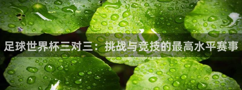 美国世界杯：足球世界杯三对三：挑战与竞技的最高水平赛事