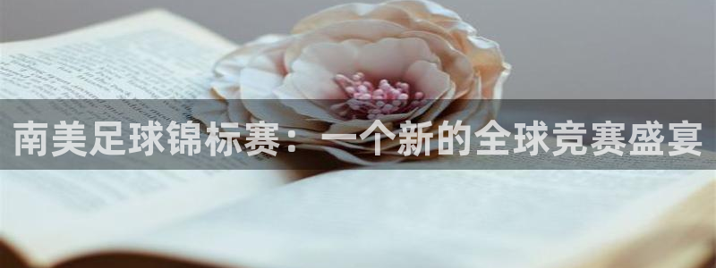 2026世预赛全部赛程：南美足球锦标赛：一个新的全球竞赛盛宴