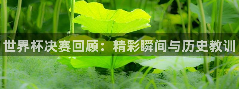 世界杯足球：世界杯决赛回顾：精彩瞬间与历史教训