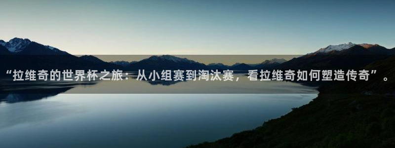 2006年世界杯：“拉维奇的世界杯之旅：从小组赛到淘汰赛，看拉维奇如何塑造传奇”。