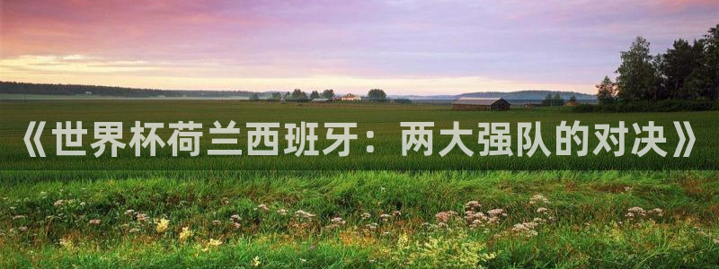 世界杯亚洲区预选赛积分榜：《世界杯荷兰西班牙：两大强队的对决》