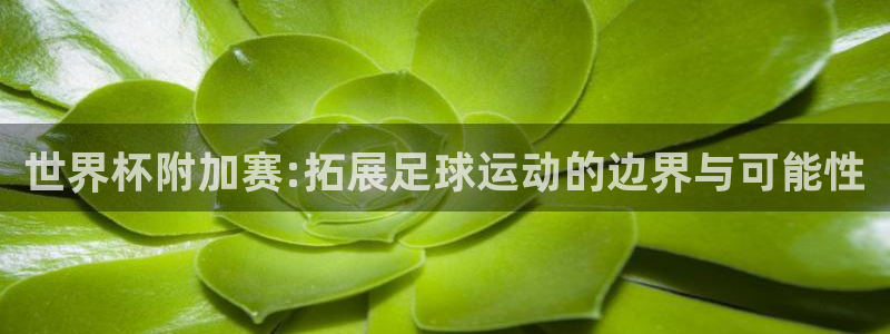 2026年世界杯直播平台：世界杯附加赛:拓展足球运动的边界与可能性