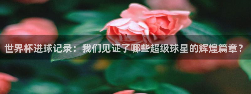 2026 世界杯：世界杯进球记录：我们见证了哪些超级球星的辉煌篇章？